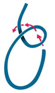 Nudo As de guia - paso 1