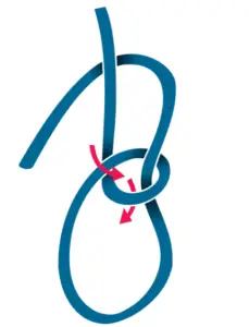 Nudo As de guia - paso 3