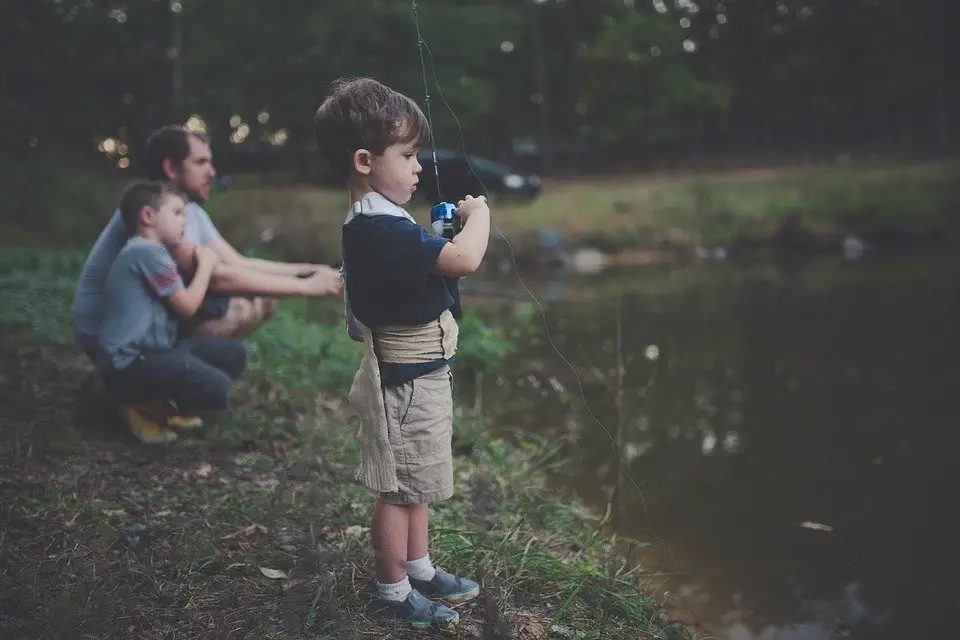 La Vinculación, Niño, Niños, Disfrute, Padre, Pesca